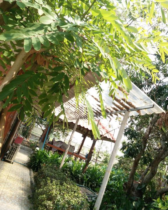 Mueang Nga House | ต้งโฮมหละปูน
