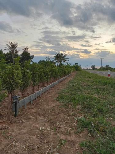 Buriram Other | ทุ่งนาแคมป์ปิ้ง Countryside
