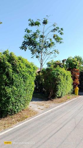 Samut Sakhon House | บ้านสโนว์เขาค้อ
