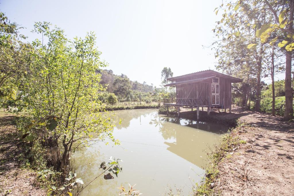 Mae Taeng House | บ้านเพื่อน อยู่ในป่า - Friend's house Homestay Mae Tang