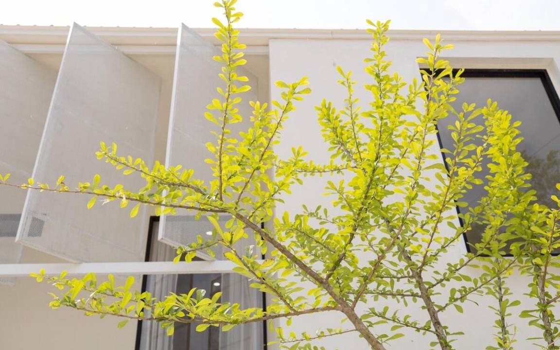 Hat Yai Villa | 216 m² Villa ∙ 2 bedrooms ∙ 4 guests