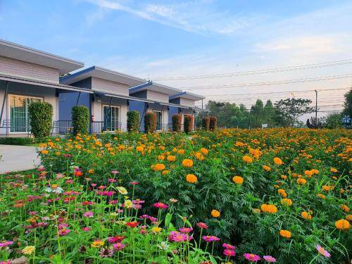 Si Chiang Mai Resort | 24 m² Resort ∙ 3 guests