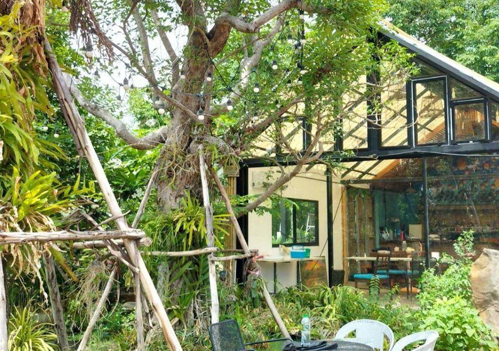 Surin Hotel | 28 m² Hotel ∙ 2 guests