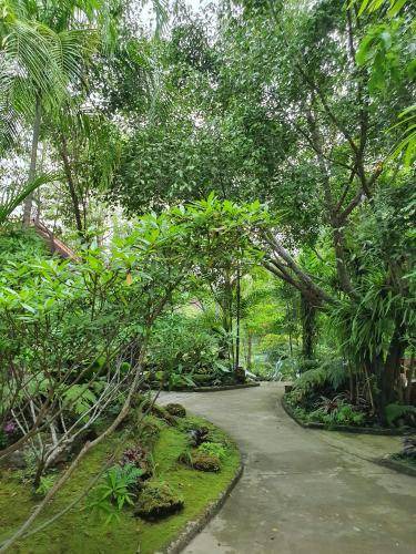 Mae Faek Mai House | 38 m² House ∙ 3 guests