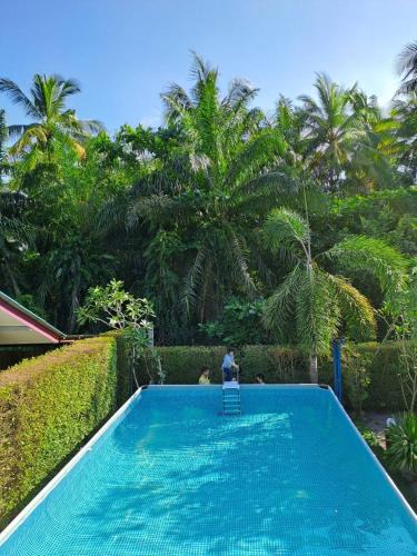 Ban Pa Yang Resort | Amantra homestay & village