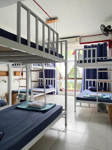 Chang Phueak Hostel | Blue Dream Hostel