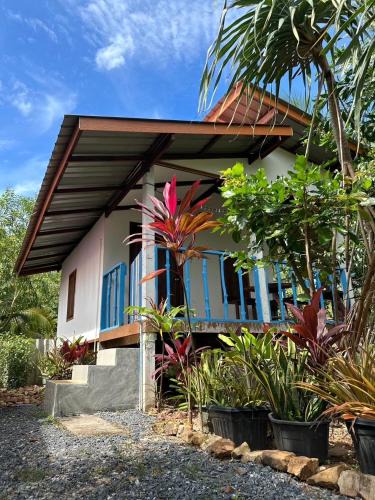 Nuea Khlong House | Blue Sky Bungalow