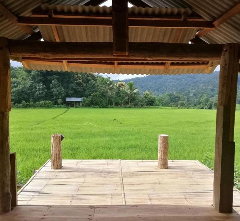 Chiang Dao House | Chinopuu Hut Homestay Muangkong ชิโนปู ฮัท โฮมสเตย์ เมืองคอง เชียงดาว