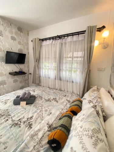 Pak Chong Bed & Breakfast | Chomklong Experience