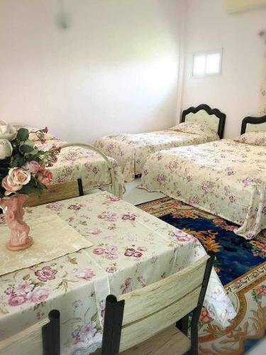 Bang Krasan House | Daddy's homestay