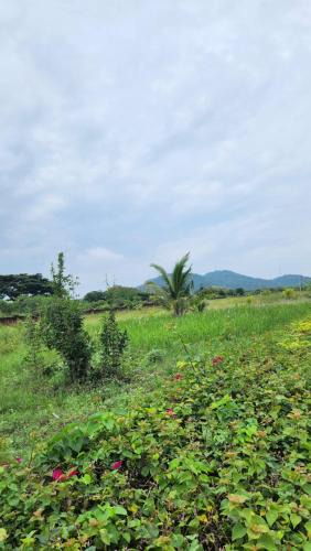 Pa Daet House | ddhotel