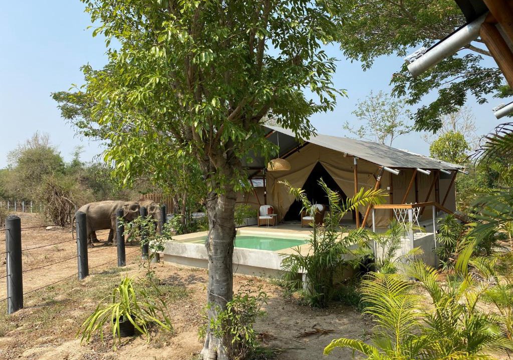 Tha Yang Other | Elephant View Camp