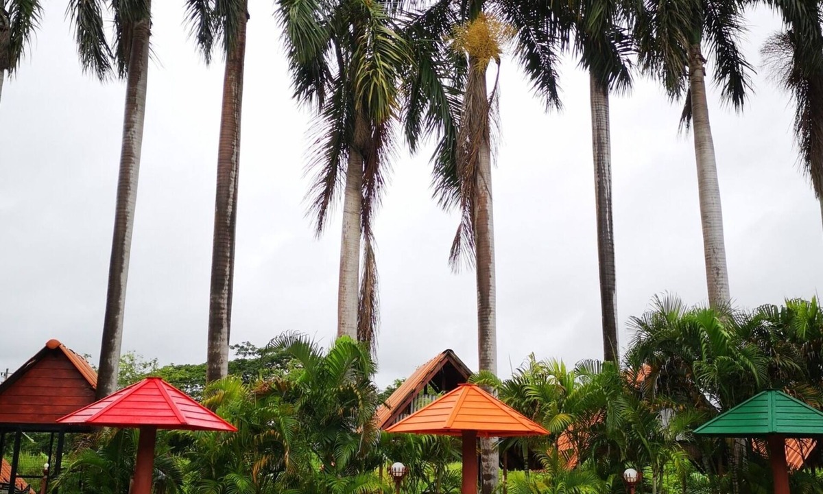 Sila Hotel | Himawari Restaurant & Cottage