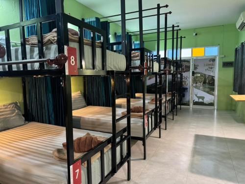 Khlong Sok Hostel | Khao Sok Jungle Hostel