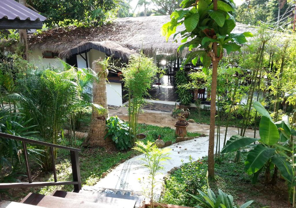 Bai Lan House | Lucky Gecko Garden