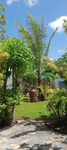 Pathio Hotel | Mem Homestay