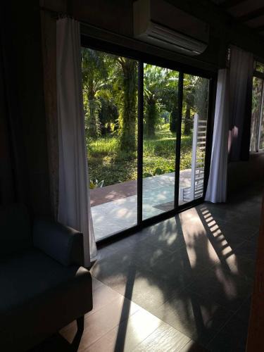 Chumphon Hostel | Onlyfan hostel