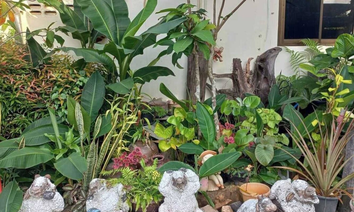Nuea Khlong Hotel | OYO 75524 SK Resort