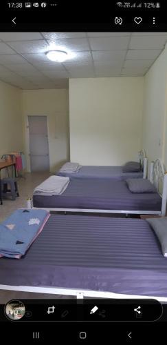 Pak Chong Bed & Breakfast | Pakchong hostel & wildlife tour