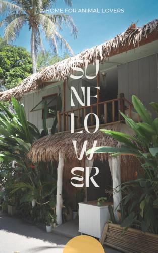 Satun Hotel | Sunflower Guesthouse and Animal Rescue - Koh Lipe