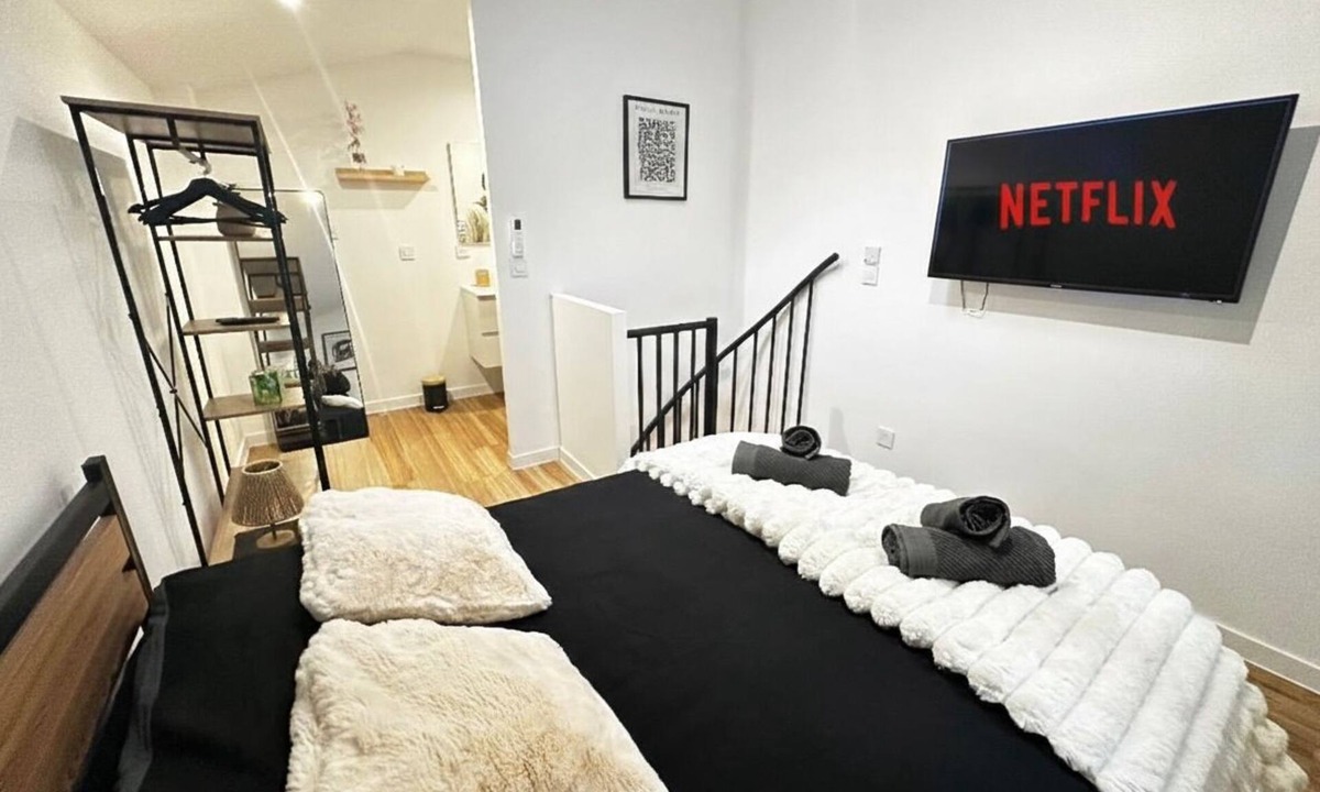 Vienne Apartment | T2 Duplex in hyper-centre - Quiet, independent access