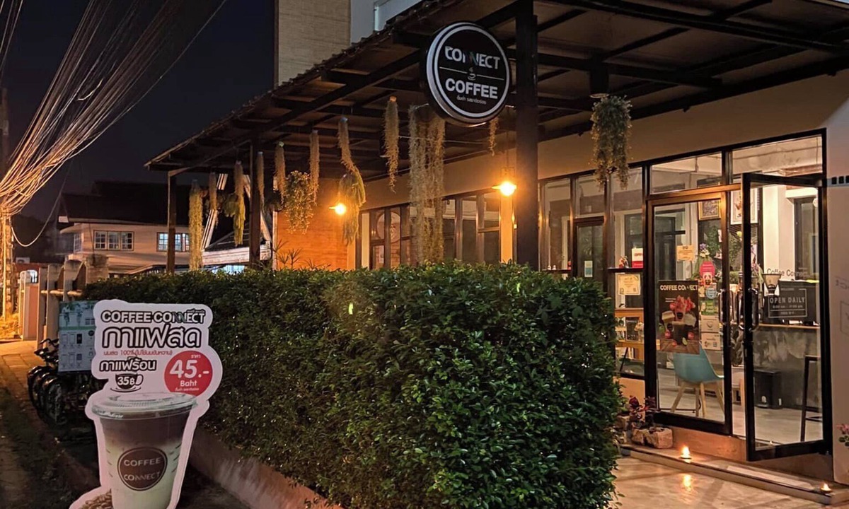 Pa Daet House | The Connect Chiang Mai