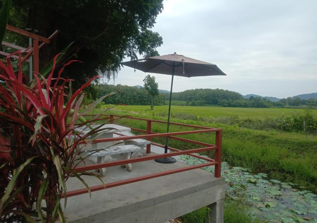 Nong Phai Bed & Breakfast | The Green Vale B&B