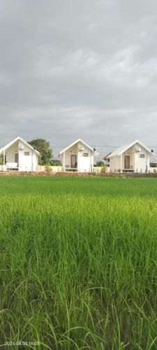 Chae Hom House | Tiny house homestay T2 not avaliable