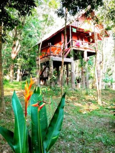 Ko Yao House | Treehouse Holidays-Garden View