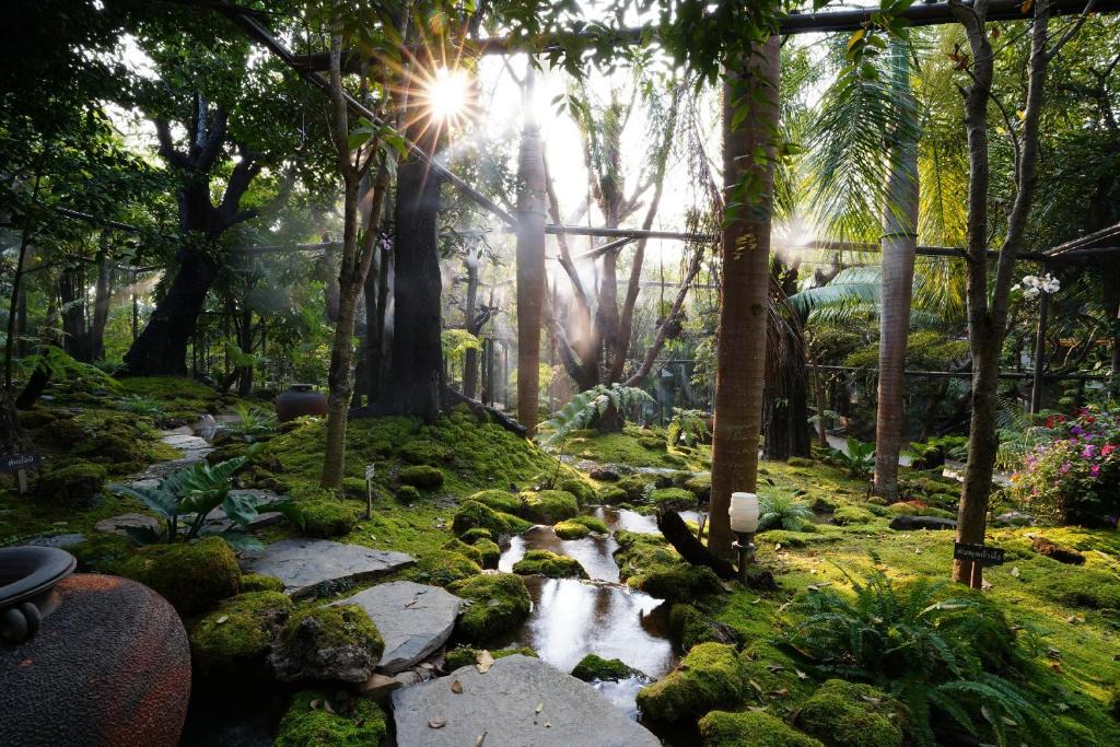 Nong Kwai Resort | Treescape Resort Chiangmai