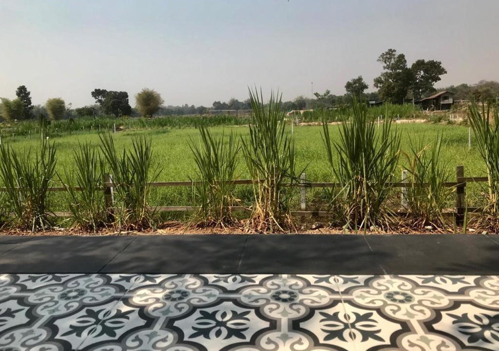 Sakhrai Bed & Breakfast | Udon Farm Fun Homestay with swimming pool