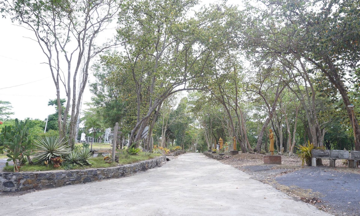 Don Sak Hotel | Wanghin Bungalow Donsak