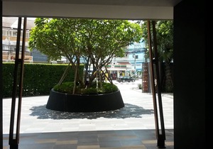 #279 Kao-Ta-Kiab Condo 1BR/Garden View