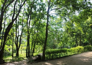 Baan Maka Nature Lodge