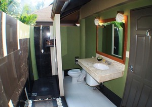 Bungalow with garden view