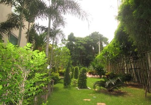 City Garden Tropicana Condo