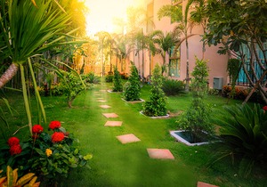 City Garden Tropicana Condo