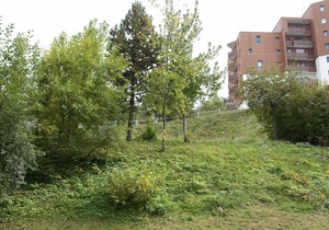 Cozy studio 3 sleeps in Adrets-Prapoutel, east-facing balcony