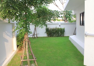 New and Modern Studio 24-1