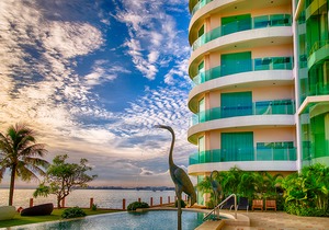 Paradise Ocean View