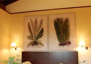 Private room in rural hotel with charm 7