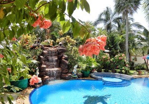 Relaxing Palm Pool Villa & Tropical Illuminated Garden & Swimming Pool.