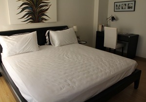 Super Deluxe One Bedroom Apartment