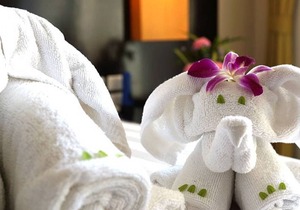Superior - Free WiFi | Private Balcony - Upto 3 Adults| SDU#1