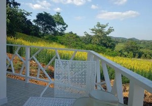 The Green Vale B&B