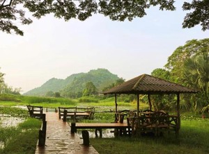Baan Maka Nature Lodge | Kaeng Krachan