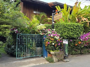 Siriwan | Old City