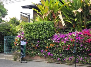 Siriwan | Old City