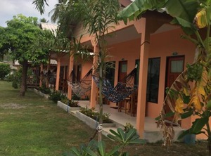 Monkey | Ko Lanta