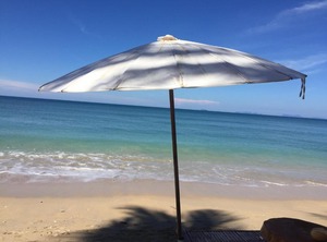 Monkey | Ko Lanta